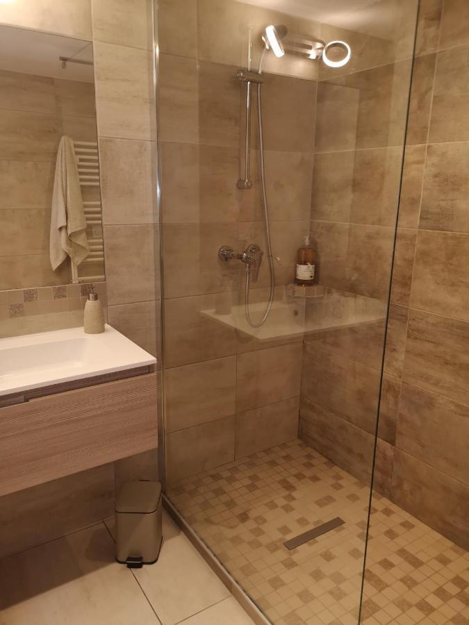 Tres Bel Appartement Avec Vue Sur Les Montagnes Saint Ismier Екстер'єр фото