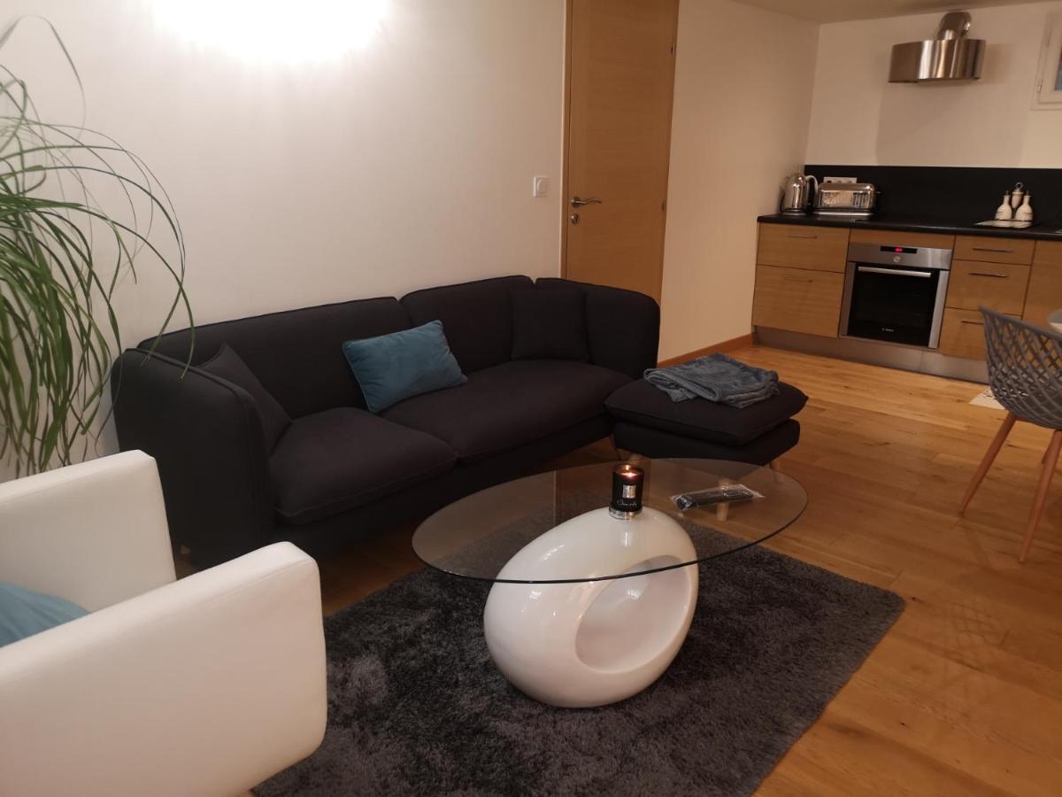 Tres Bel Appartement Avec Vue Sur Les Montagnes Saint Ismier Екстер'єр фото